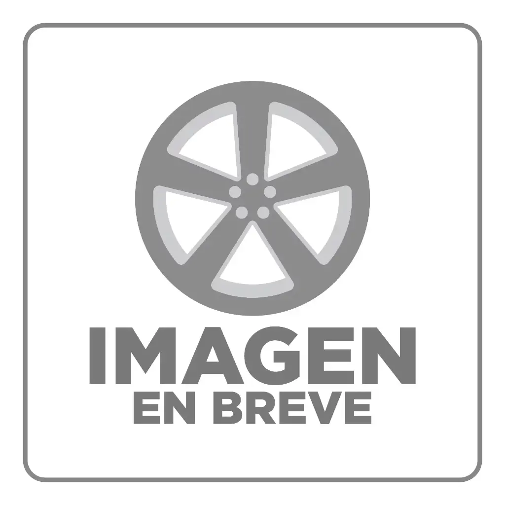 RIN 17X7.5 4-100 R1 SPORT QC175 SILVER MACHINE FACE ET30 CB73.1